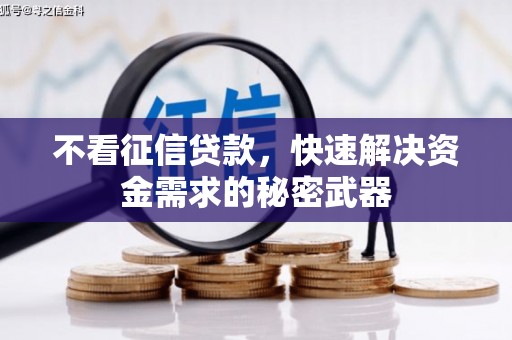 叶县不看征信贷款，快速解决资金需求的秘密武器