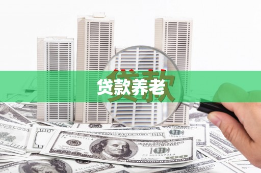 叶县贷款养老