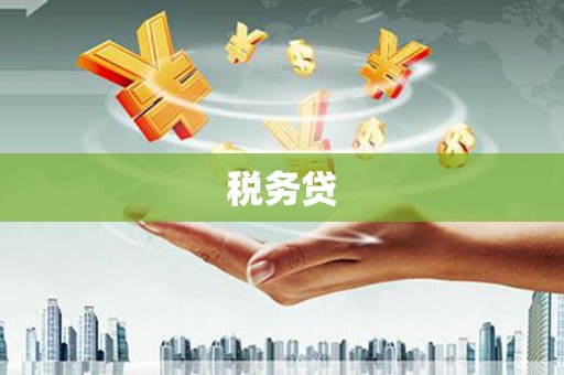 叶县税务贷