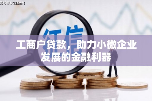 叶县工商户贷款，助力小微企业发展的金融利器