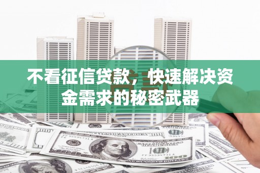 叶县不看征信贷款，快速解决资金需求的秘密武器
