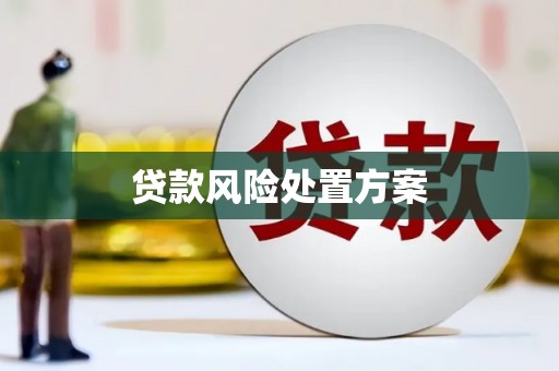 叶县贷款风险处置方案