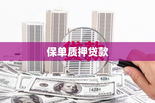 叶县保单质押贷款