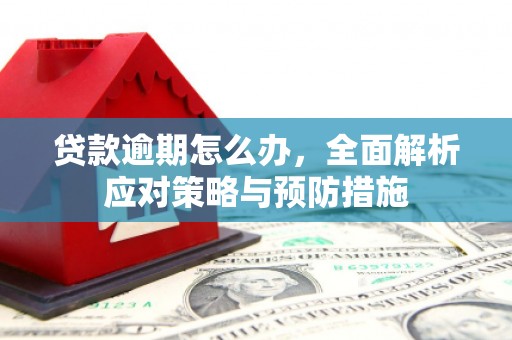 叶县贷款逾期怎么办，全面解析应对策略与预防措施