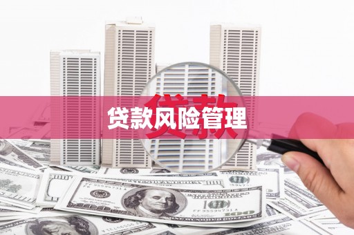 叶县贷款风险管理