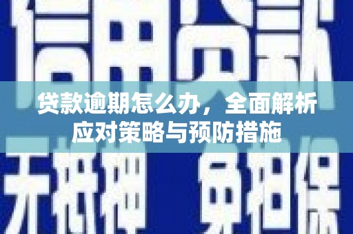 叶县贷款逾期怎么办，全面解析应对策略与预防措施