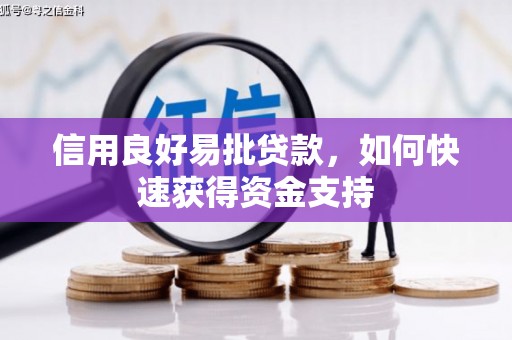 叶县信用良好易批贷款，如何快速获得资金支持