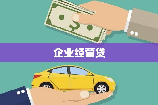 叶县企业经营贷