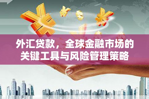 叶县外汇贷款，全球金融市场的关键工具与风险管理策略