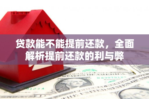 叶县贷款能不能提前还款，全面解析提前还款的利与弊