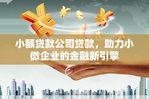 叶县小额贷款公司贷款，助力小微企业的金融新引擎
