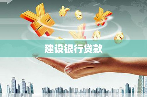 叶县建设银行贷款