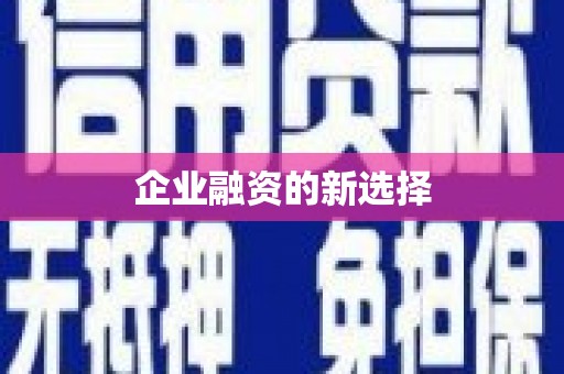 叶县企业融资的新选择