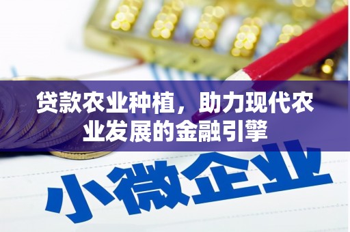 叶县贷款农业种植，助力现代农业发展的金融引擎