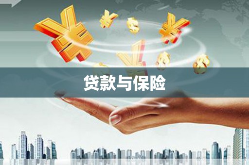 叶县贷款与保险