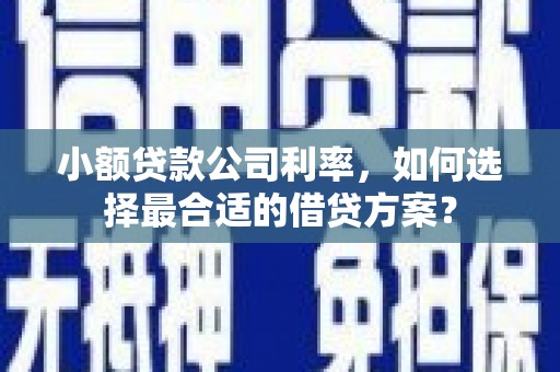 叶县小额贷款公司利率，如何选择最合适的借贷方案？