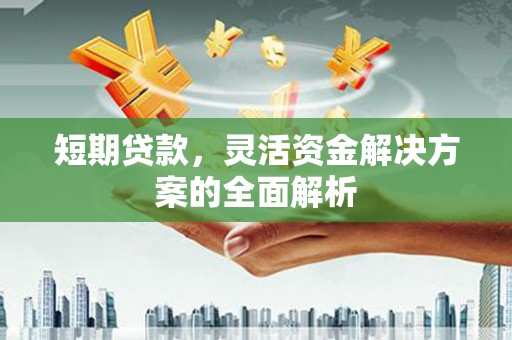 叶县短期贷款，灵活资金解决方案的全面解析