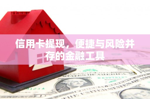叶县信用卡提现，便捷与风险并存的金融工具