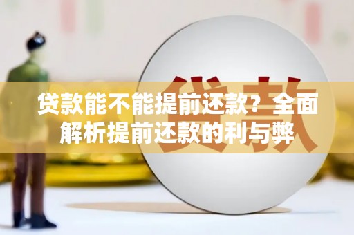 叶县贷款能不能提前还款？全面解析提前还款的利与弊