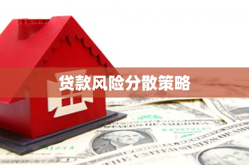叶县贷款风险分散策略