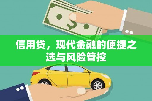 叶县信用贷，现代金融的便捷之选与风险管控