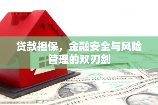 叶县贷款担保，金融安全与风险管理的双刃剑