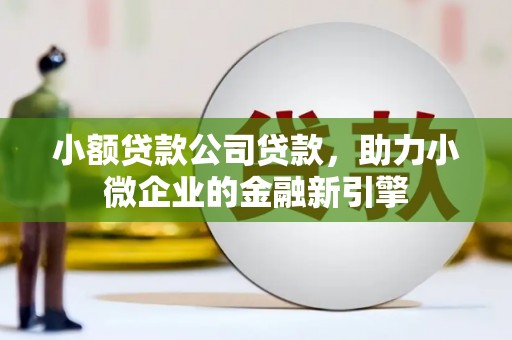 叶县小额贷款公司贷款，助力小微企业的金融新引擎