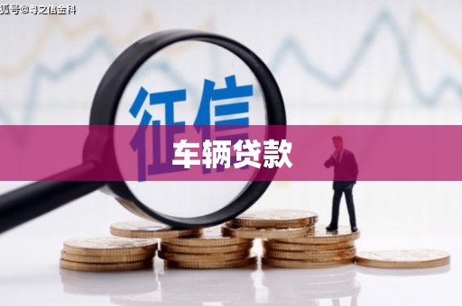 叶县车辆贷款