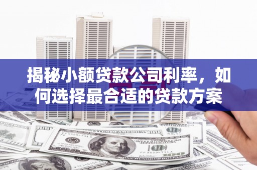 叶县揭秘小额贷款公司利率，如何选择最合适的贷款方案