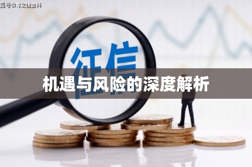 叶县机遇与风险的深度解析