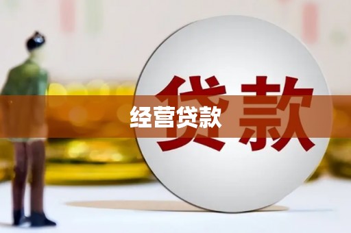 叶县经营贷款