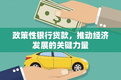 叶县政策性银行贷款，推动经济发展的关键力量