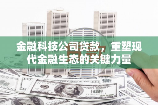 叶县金融科技公司贷款，重塑现代金融生态的关键力量