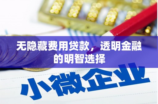 叶县无隐藏费用贷款，透明金融的明智选择