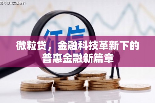 叶县微粒贷，金融科技革新下的普惠金融新篇章