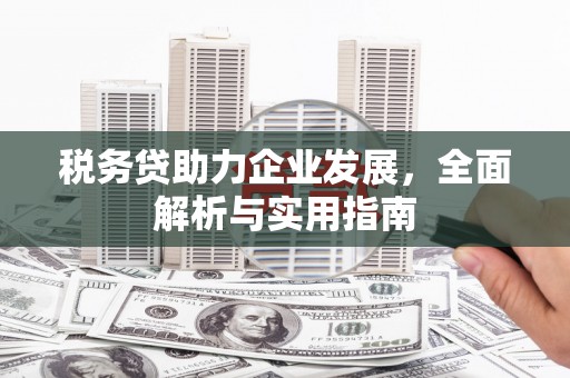 叶县税务贷助力企业发展，全面解析与实用指南