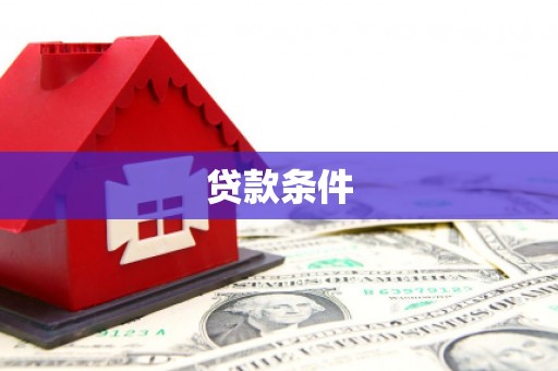 叶县贷款条件