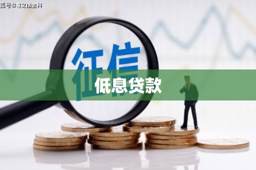 叶县低息贷款