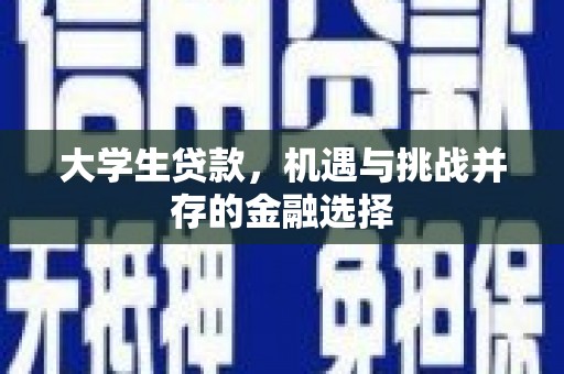 叶县大学生贷款，机遇与挑战并存的金融选择
