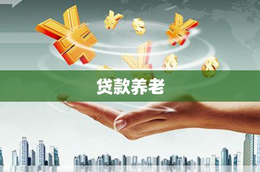 叶县贷款养老