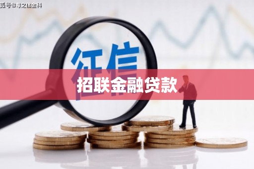 叶县招联金融贷款