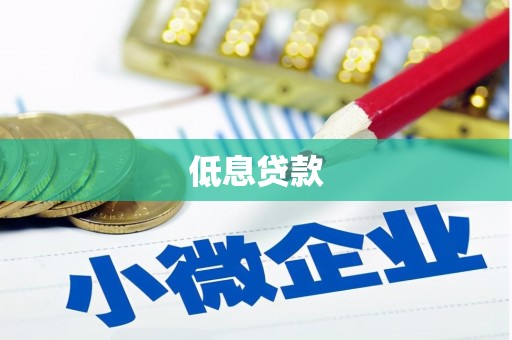 叶县低息贷款