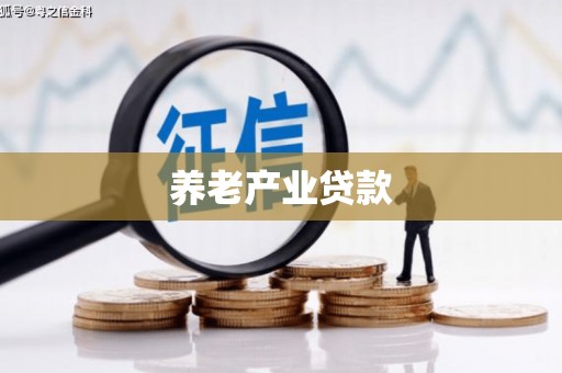 叶县养老产业贷款