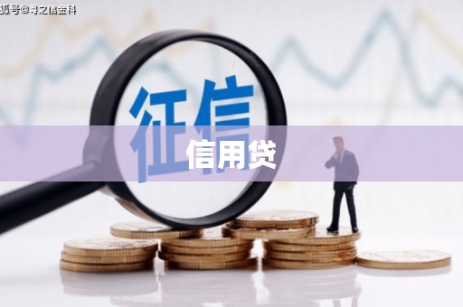 叶县信用贷