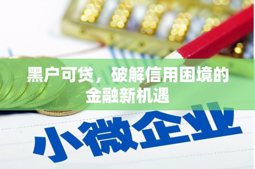 叶县黑户可贷，破解信用困境的金融新机遇