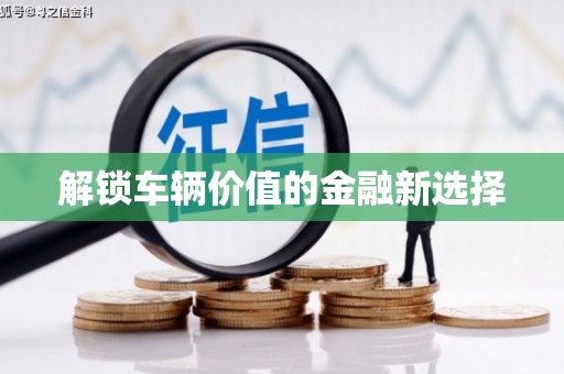 叶县解锁车辆价值的金融新选择