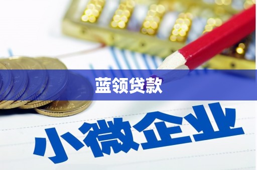 叶县蓝领贷款