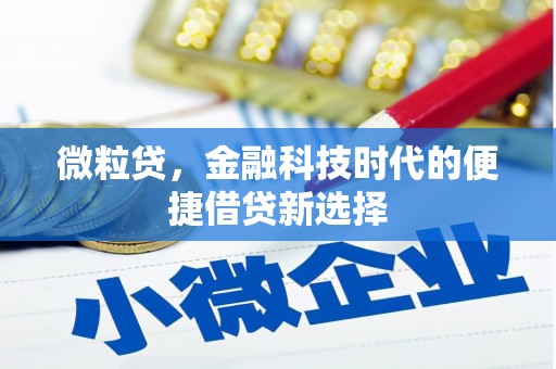 叶县微粒贷，金融科技时代的便捷借贷新选择