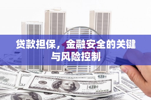 叶县贷款担保，金融安全的关键与风险控制