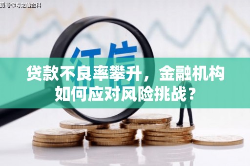 叶县贷款不良率攀升，金融机构如何应对风险挑战？